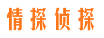 温泉市调查公司